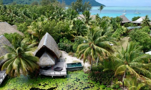 Bungalow Premium Lac Piscine 